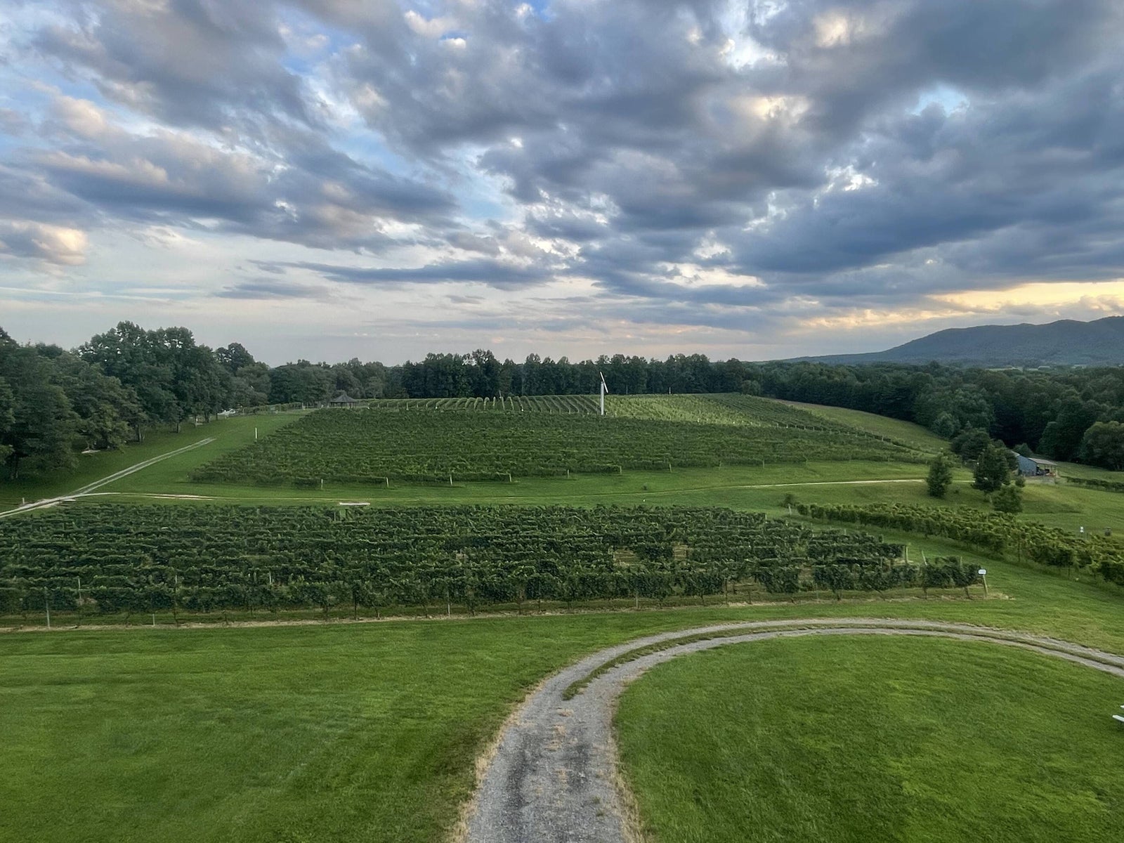 Mountain & Vineyard Views