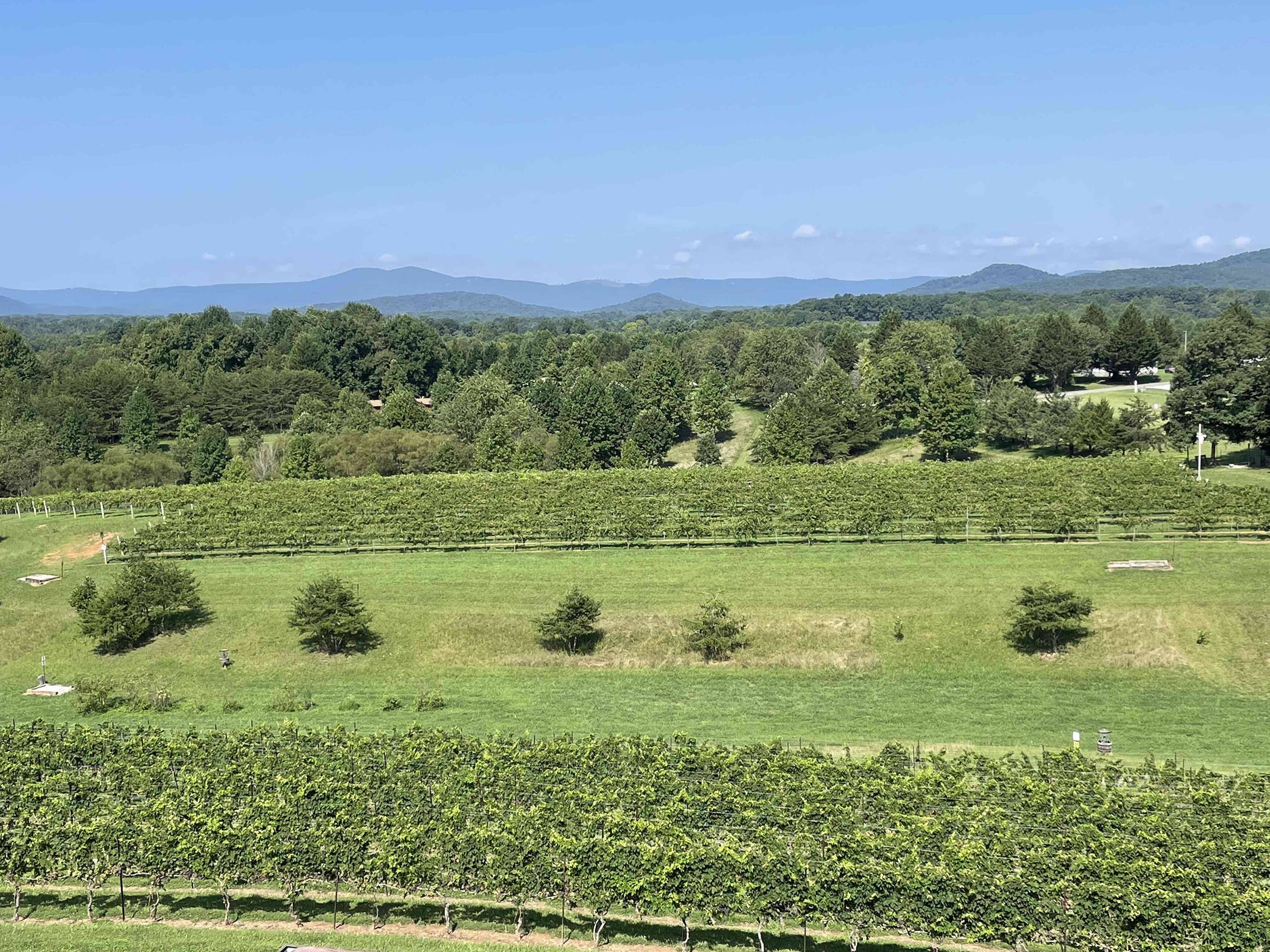 Mountain & Vineyard Views